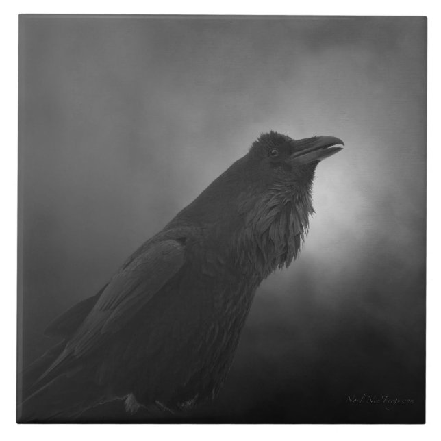 Raven raven Talking, original digital illustration Tile (Front)