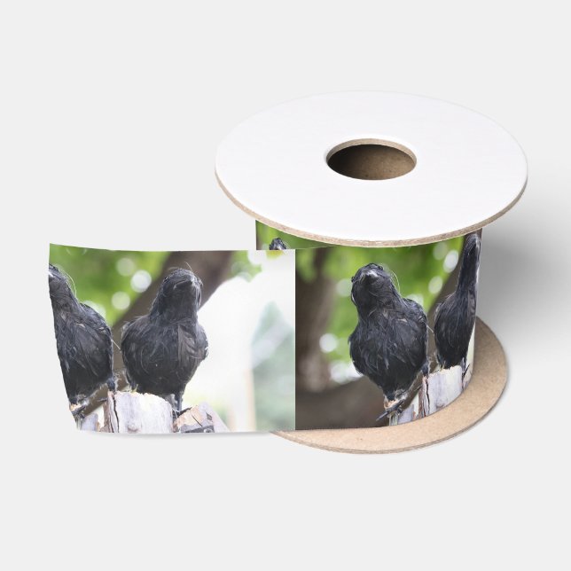 Raven ribbon satin ribbon (Spool)