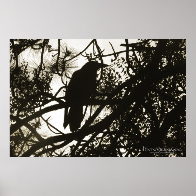 Raven Steampunk Poster (Front)