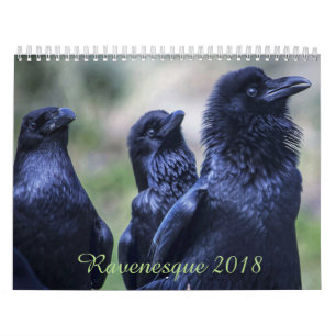 Ravenesque magical Bird 2018 18 month calendar