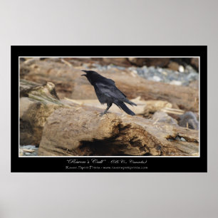 "RAVEN'S CALL" Photo Print
