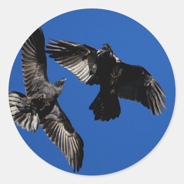 ravens classic round sticker (Front)