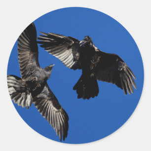 ravens classic round sticker