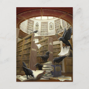 Ravens in the Library Postcard