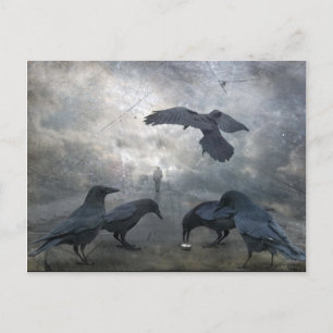 Ravens play with lost Time Postcard