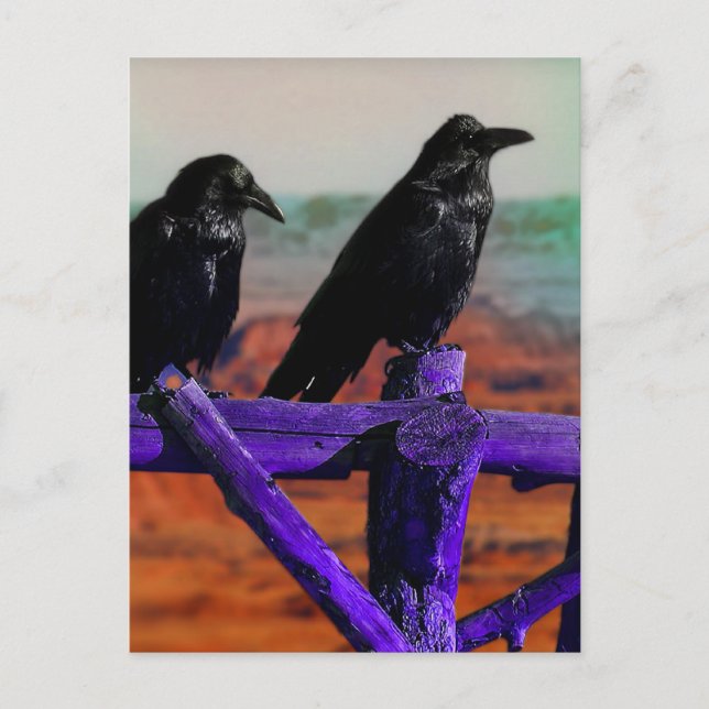 Ravens Postcard (Front)