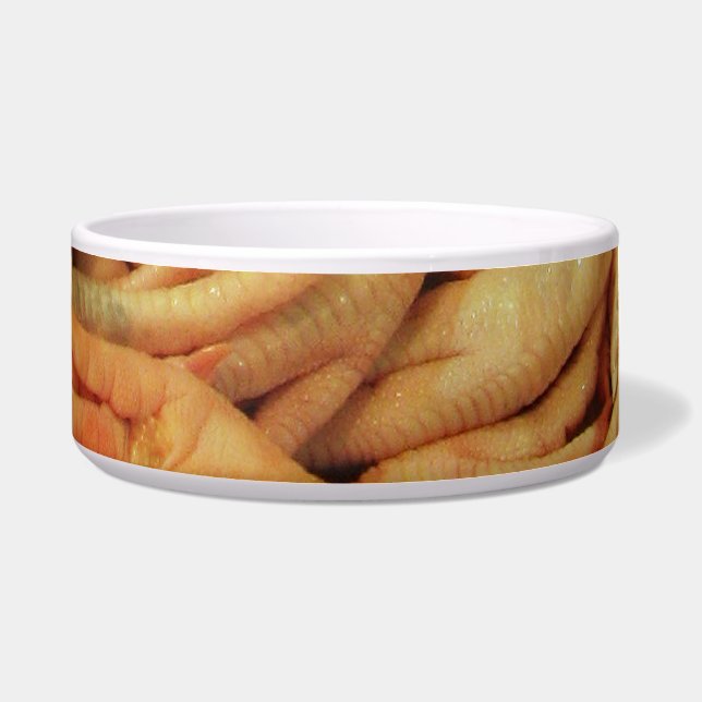 Raw Chicken Feet (Front)