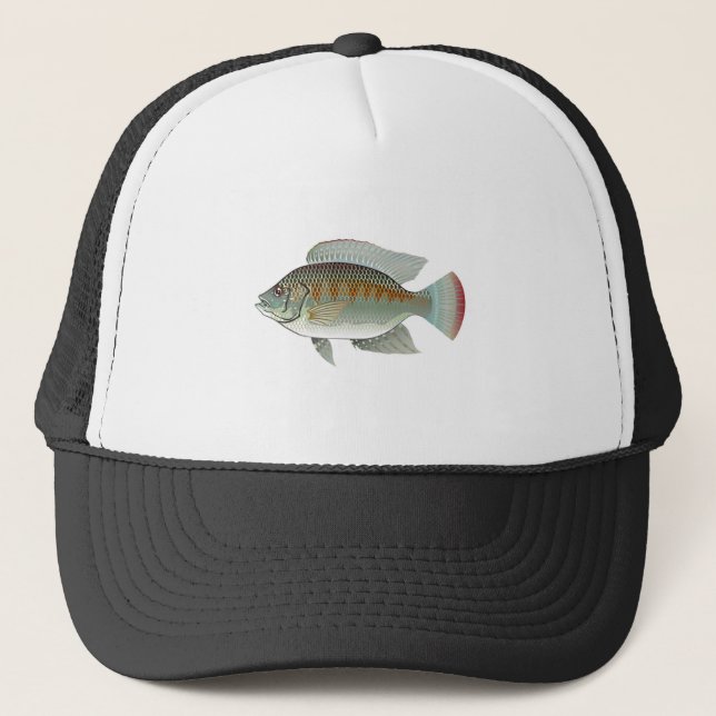 Raw Seafood Tilapia Fish Vector Trucker Hat (Front)