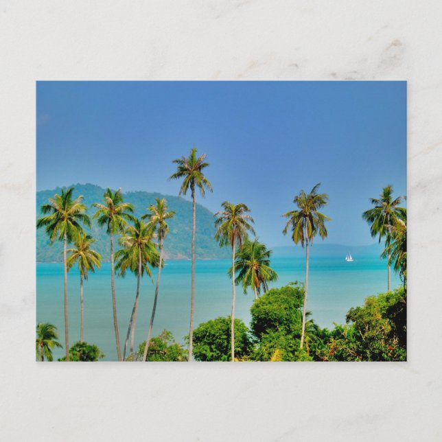 Rawai Bay in Phuket Postcard (Front)