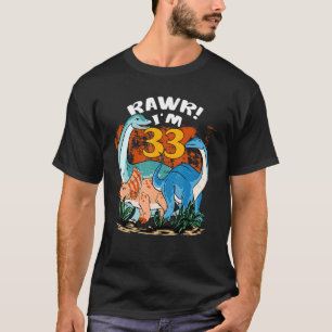 Rawr I'm 33 Years Old 33th Birthday Boy Rex Dinosa T-Shirt