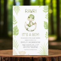 Rawr It's a Boy Cute Dinosaur Baby Boy Shower