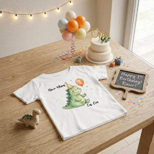 Rawr Means I'm One Dinosaur Baby First Birthday  T-Shirt