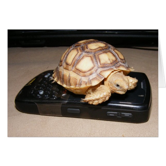 Rawr Phone Home (Front Horizontal)