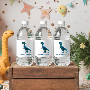 RAWR Under the Lights Dinosaur Winter Birthday Water Bottle Label