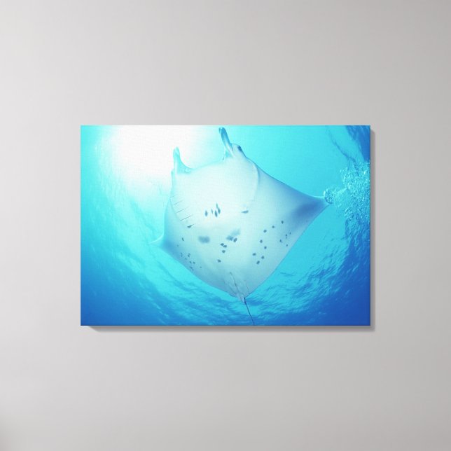 Ray Canvas Print (Front)