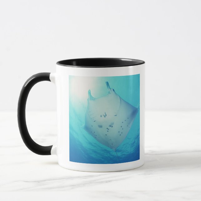 Ray Mug (Left)
