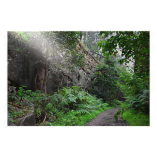 Ray of Light Photo Print