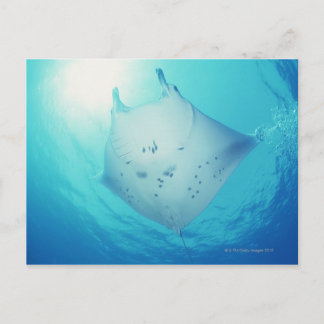 Ray Postcard