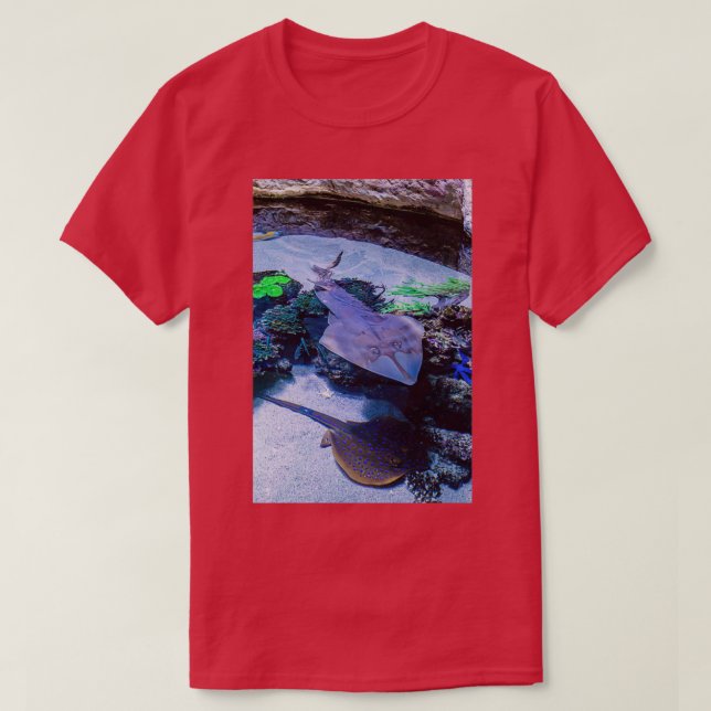 Rays at AWQA T-Shirt (Design Front)