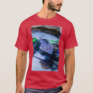 Rays at AWQA T-Shirt