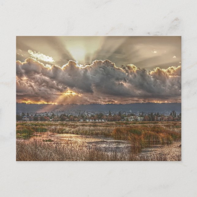 Rays at sunset Postcard (Front)