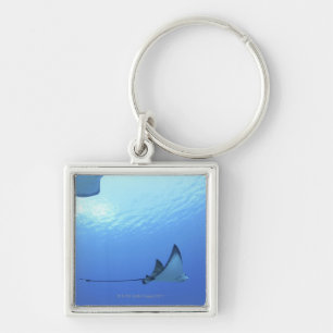 Rays swimming, Saipan, Northern Mariana Islands Key Ring