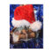 Razorbacked Musk Turtle, Santa Hat over head