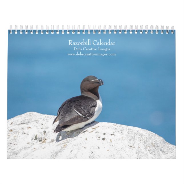 Razorbill Calendar 2026 (Cover)