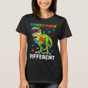 Rd Rawrsomely Different Dinosaur Autism Awareness T-Shirt