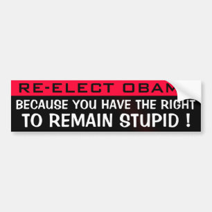 RE-ELECT OBAMA BUMPER STICKER