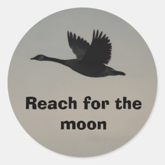 Reach for the moon classic round sticker