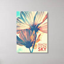 Reach for the Sky Cosmos Flower