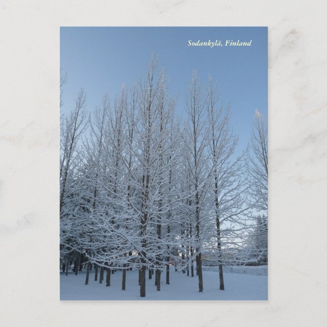 Reach for the Sky Postcard (Front)