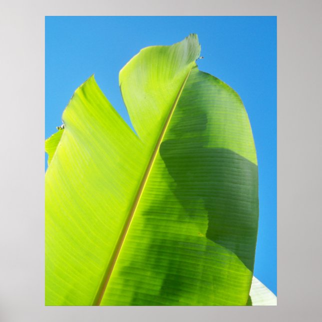 Reaching for Sun Poster (Front)