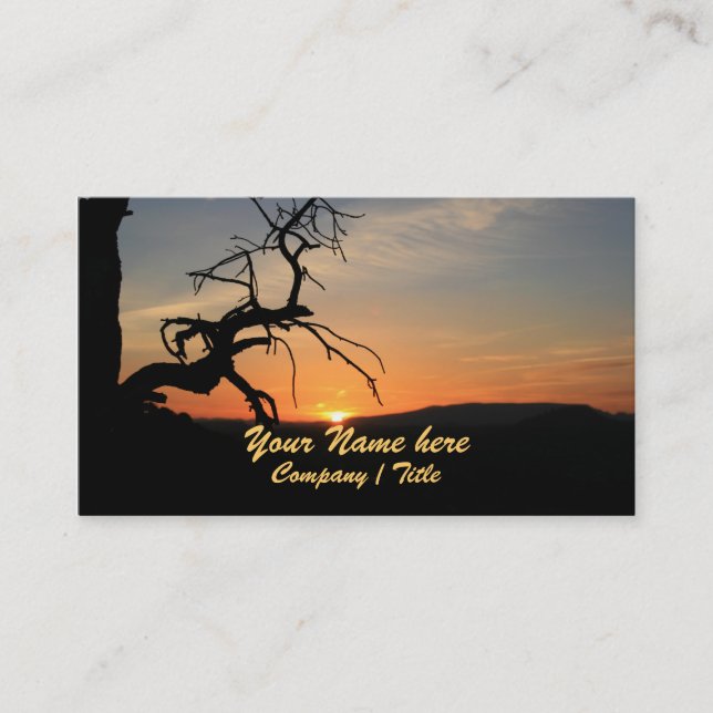 Reaching for the Sun Business Card (Front)