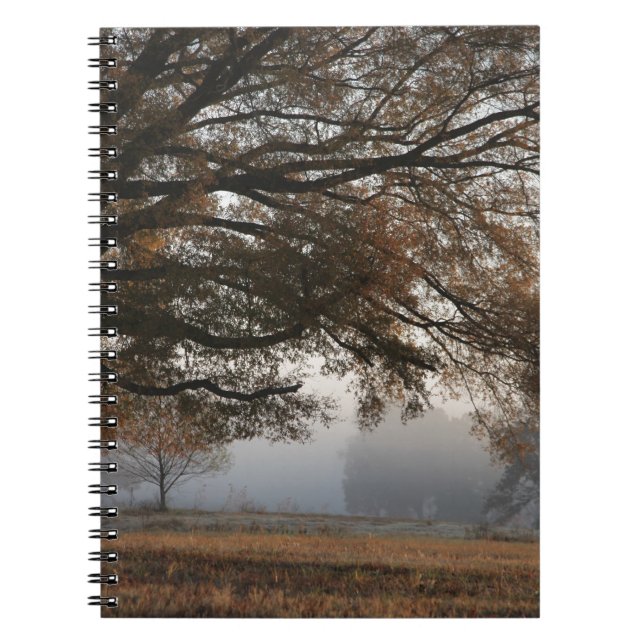 Reaching Out Notebook (Front)