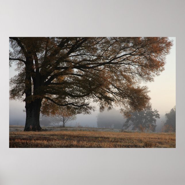 Reaching out poster (Front)