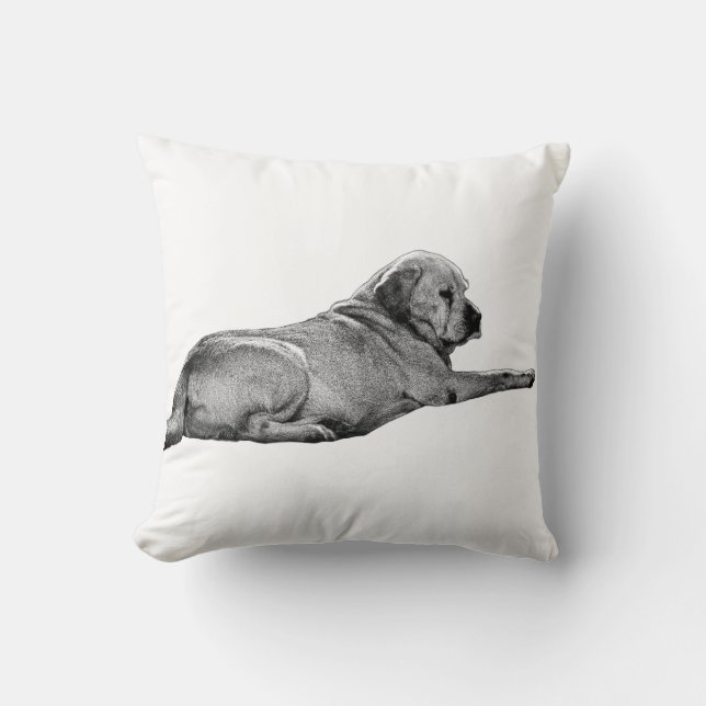 Reaching Presence Cushion (Front)