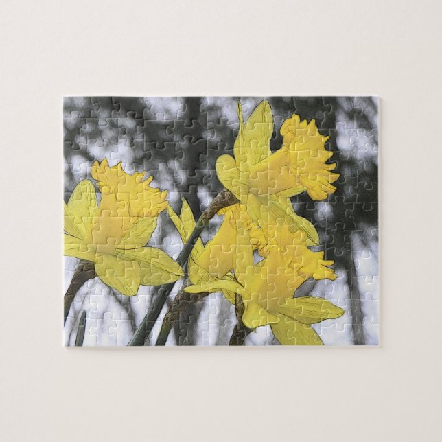 Reaching Upwards - Yellow Daffodils Jigsaw Puzzle (Horizontal)