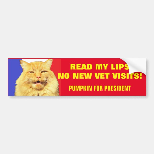 Read My Lips No Vets ...Pumpkin for President 2020 Bumper Sticker (Front)