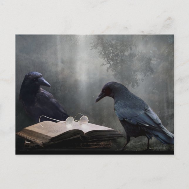 Reader Postcard (Front)