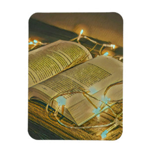Reading Lovers Gift For Librarian Magnet
