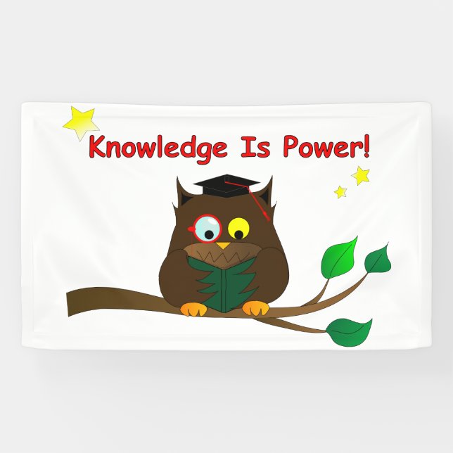 Reading Wise Owl Banner (Horizontal)