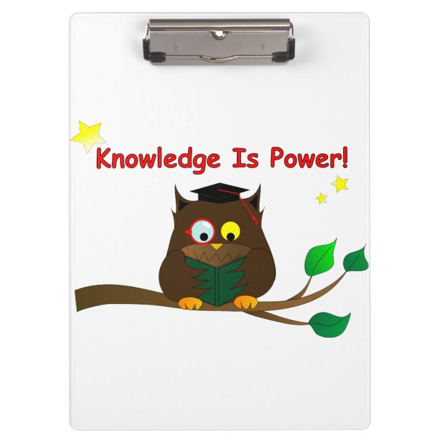 Reading Wise Owl Clipboard (Front)