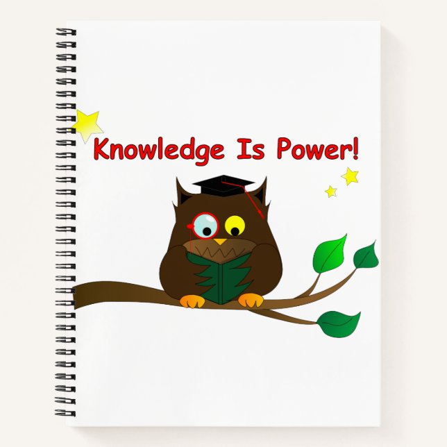 Reading Wise Owl Notebook (Front)