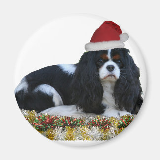 Ready For Christmas Magnet