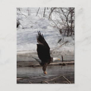 Ready for Liftoff Postcard