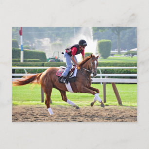 Ready for Saratoga 150 Postcard