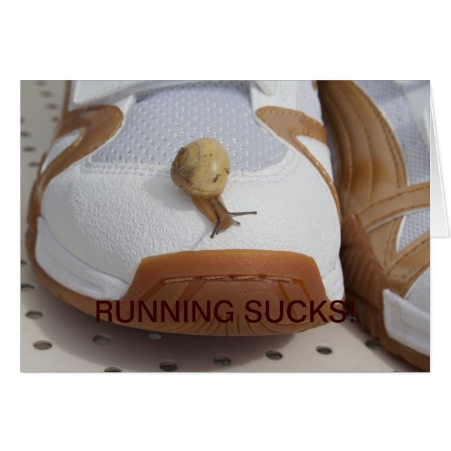 Ready For Snail Racing (Front Horizontal)