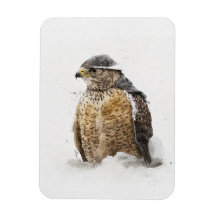 Ready For The Snow Magnet